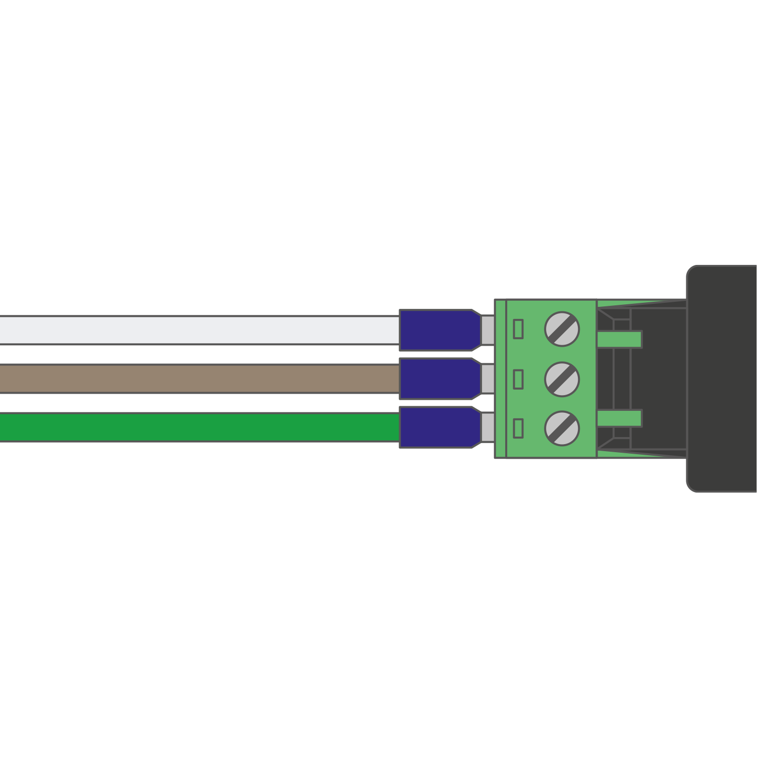 PI regular